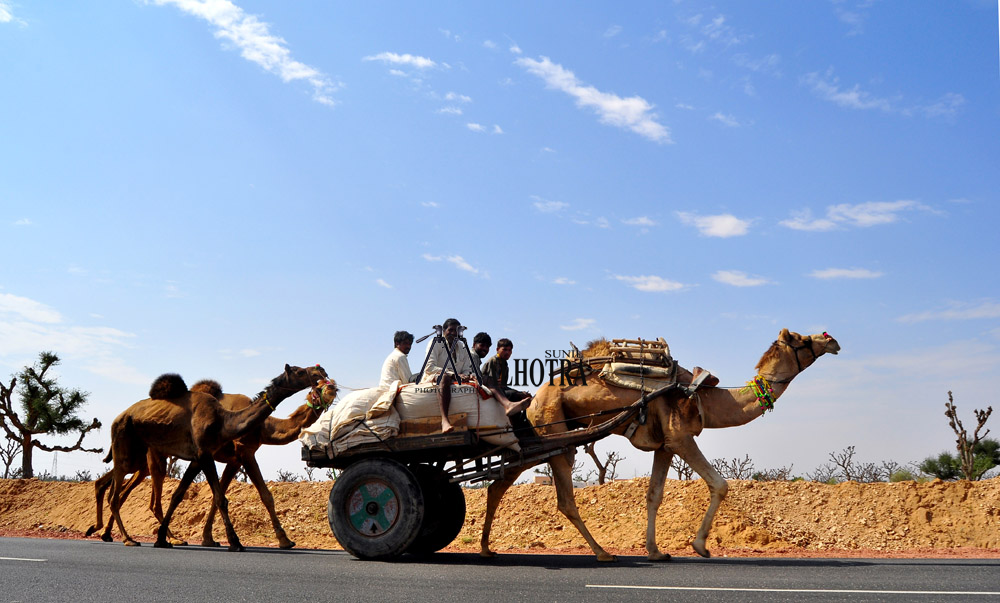 Rajasthan