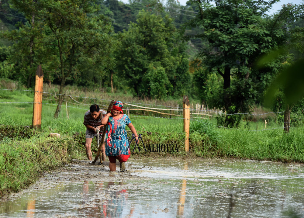 Women - Backbone of India, India