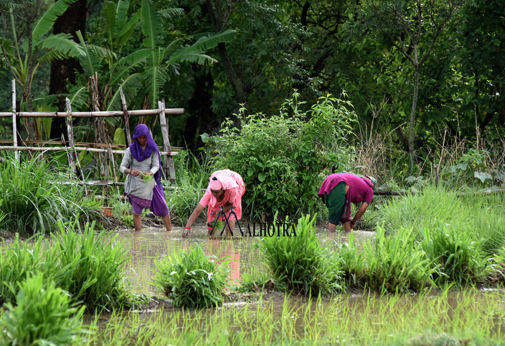 Women - Backbone of India, India