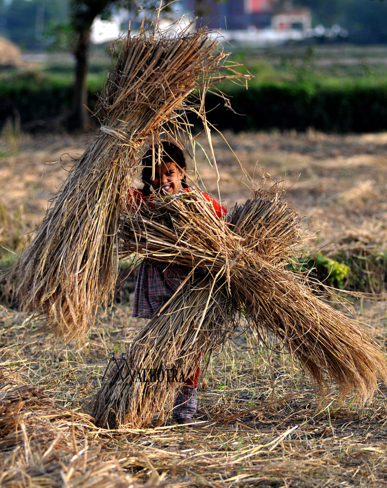 Women - Backbone of India, India