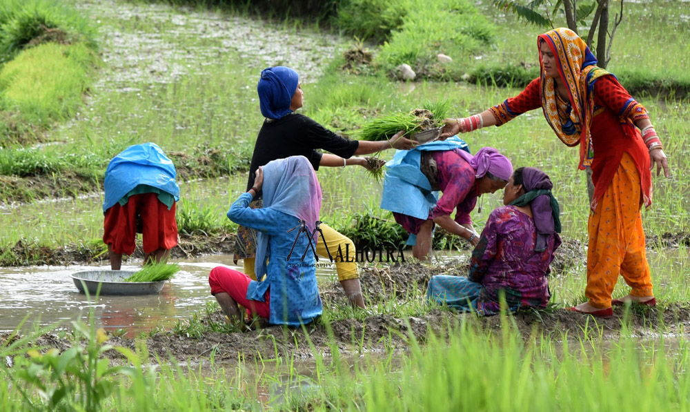 Women - Backbone of India, India