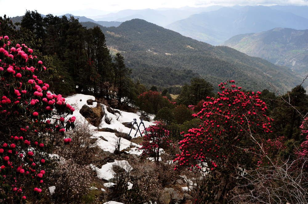 Himayala, India