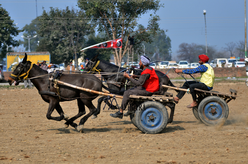 Punjab Rural Sport, India