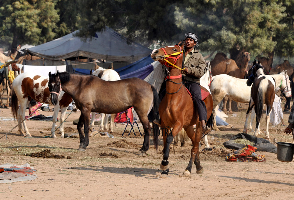 Rajasthan