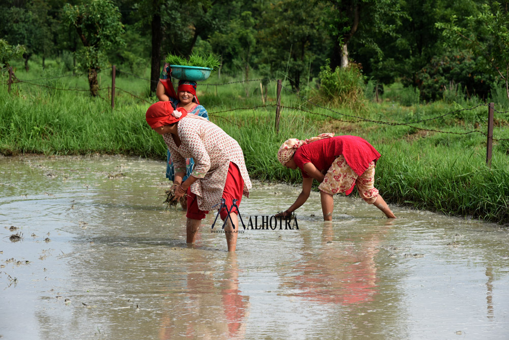 Women - Backbone of India, India