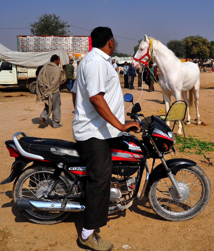 Rajasthan