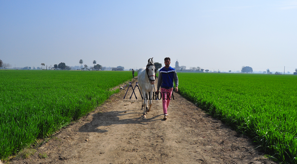 Punjab Rural Sport, India