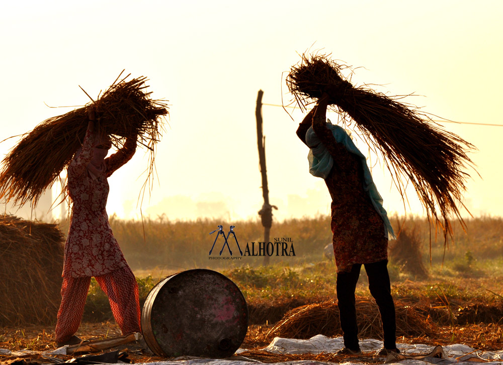 Women - Backbone of India, India