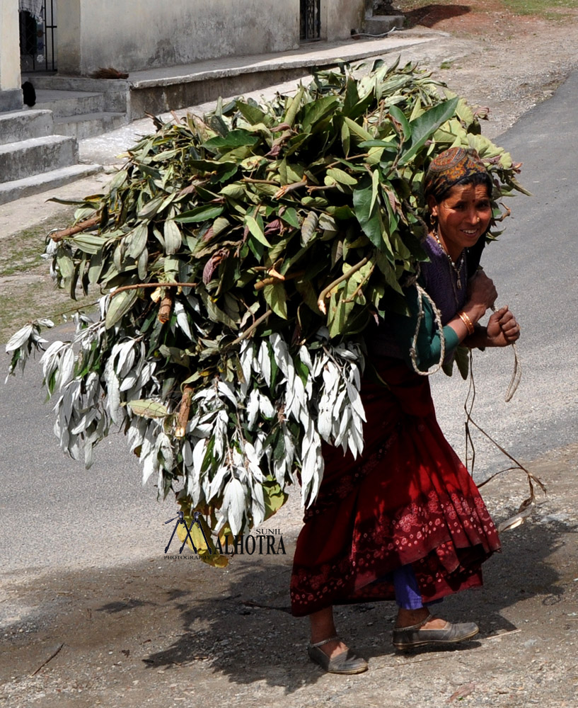 Women - Backbone of India, India