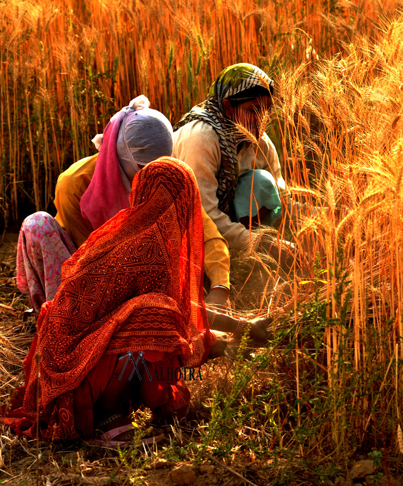 Women - Backbone of India, India