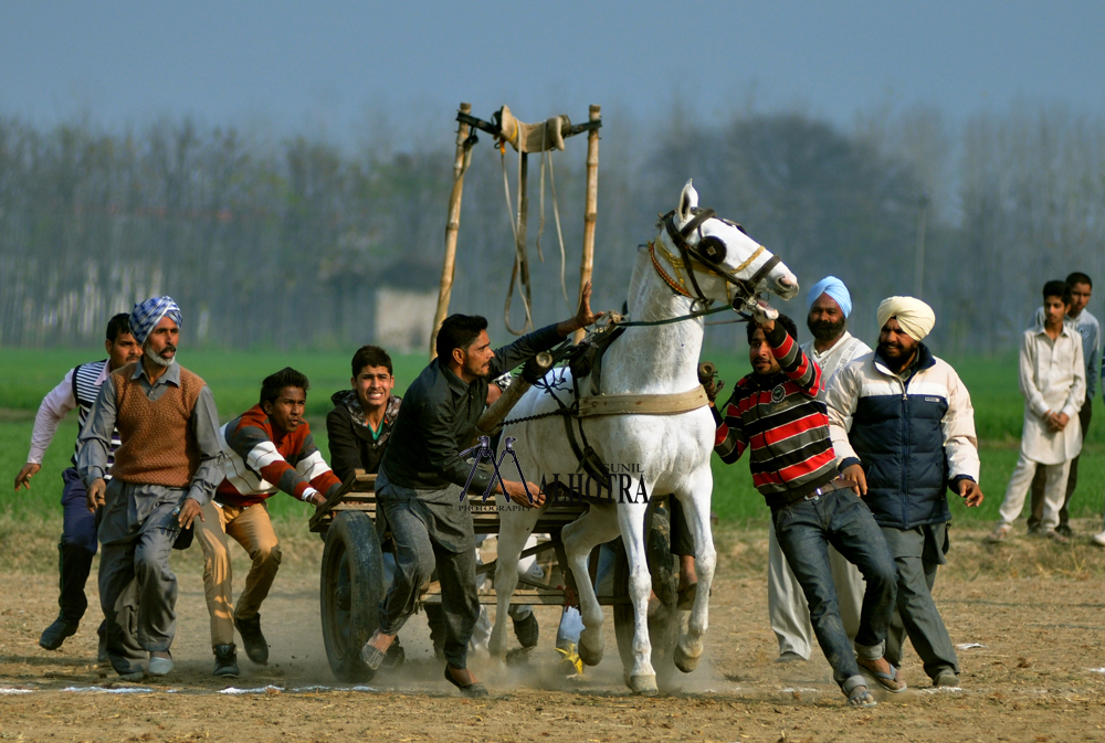 Punjab Rural Sport, India