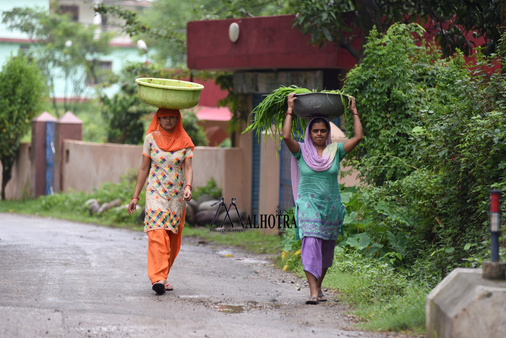 Women - Backbone of India, India