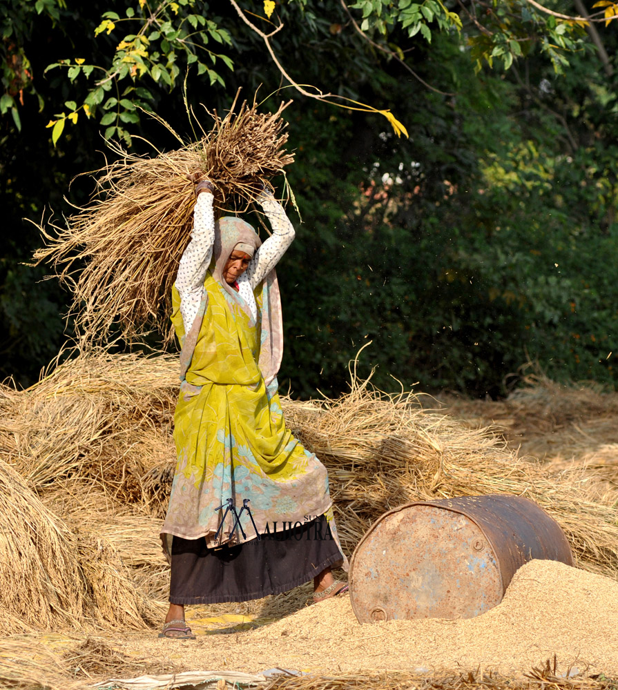 Women - Backbone of India, India