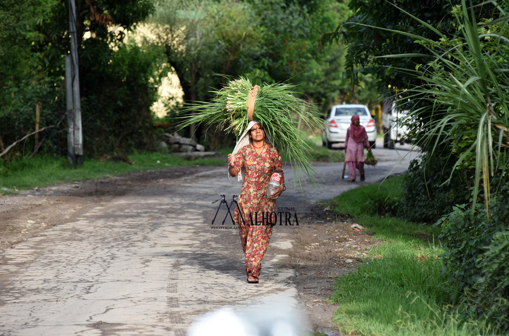 Women - Backbone of India, India