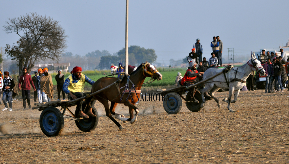 Punjab Rural Sport, India