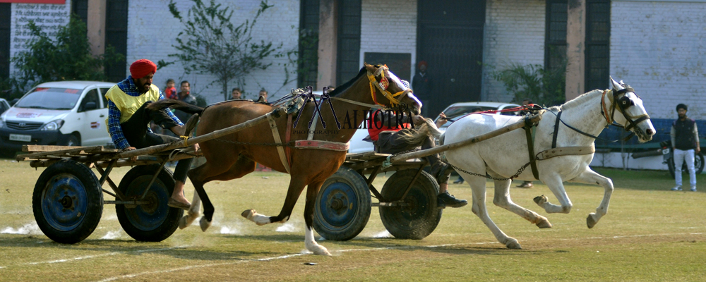 Punjab Rural Sport, India