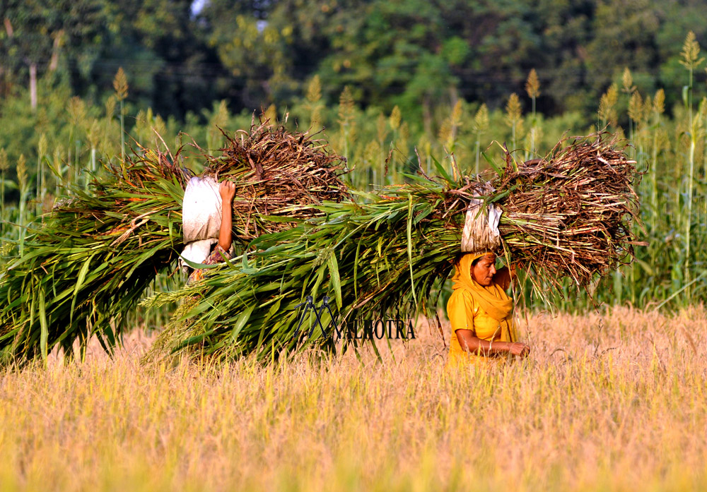 Women - Backbone of India, India