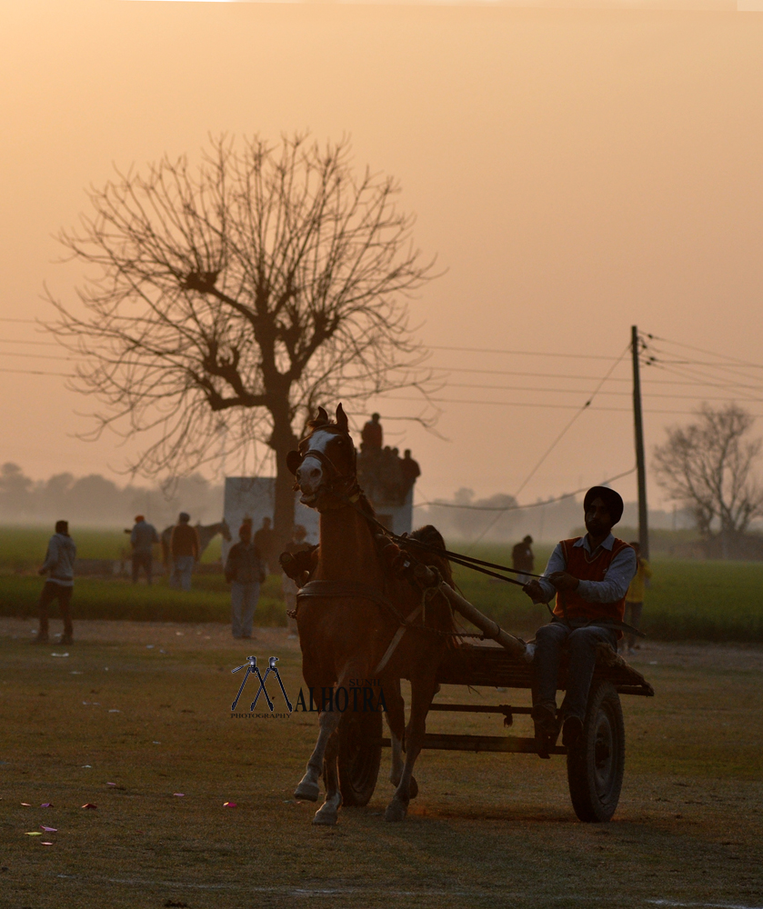 Punjab Rural Sport, India