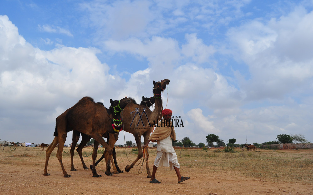 Rajasthan