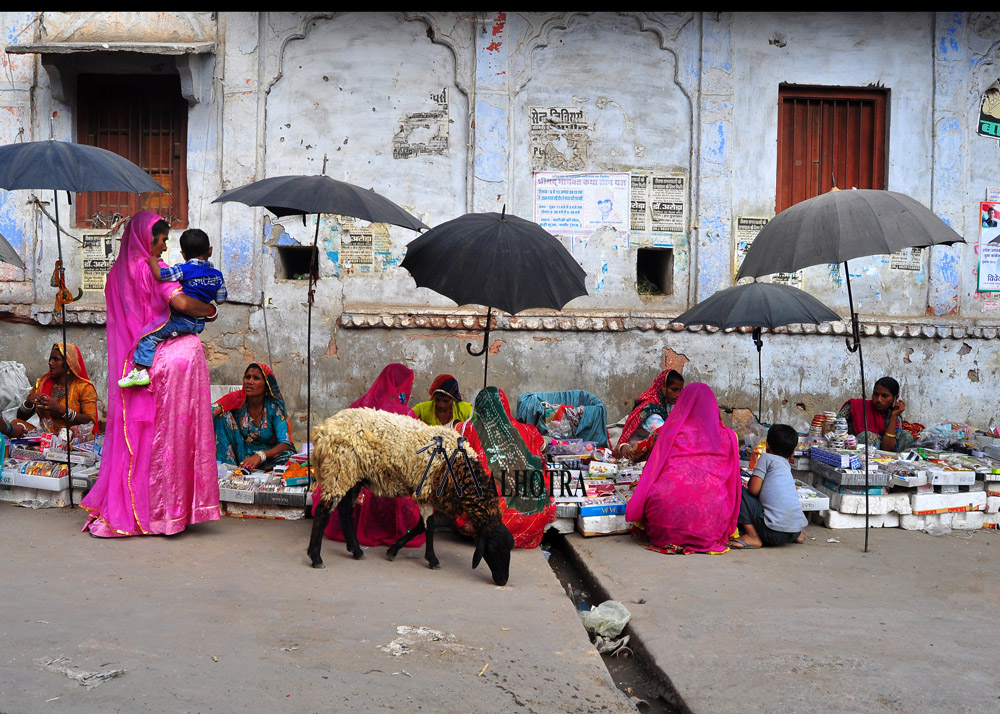 Women - Backbone of India, India