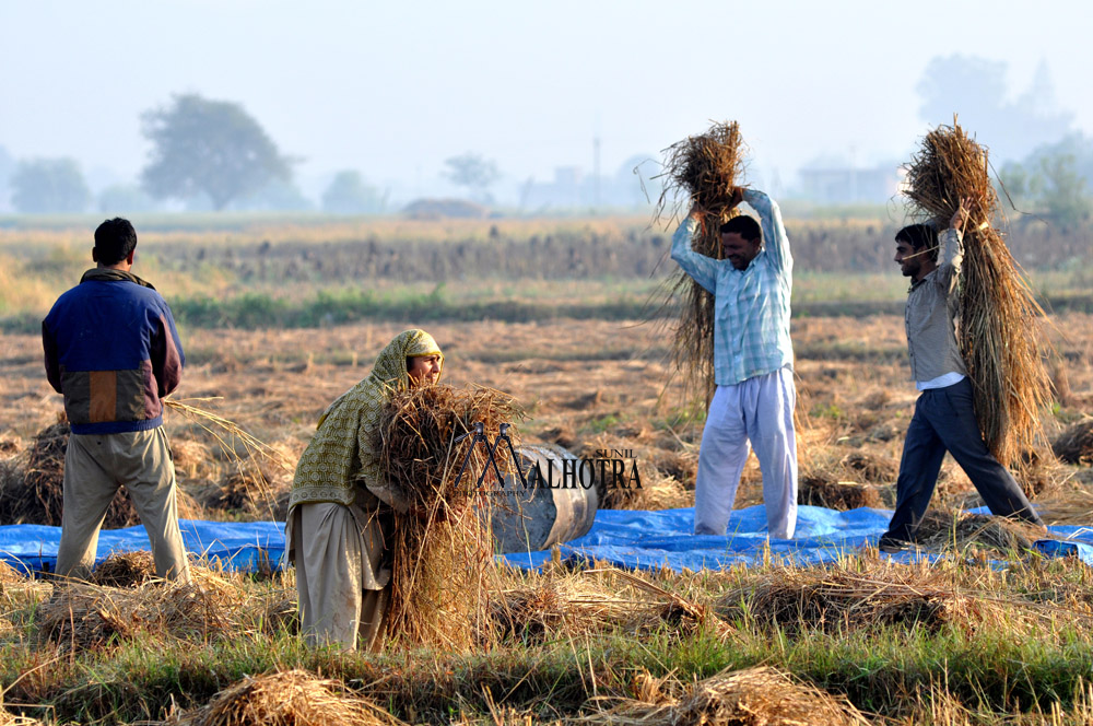 Women - Backbone of India, India