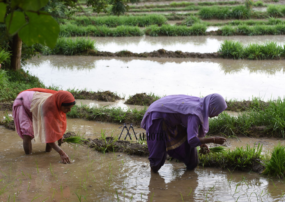 Women - Backbone of India, India