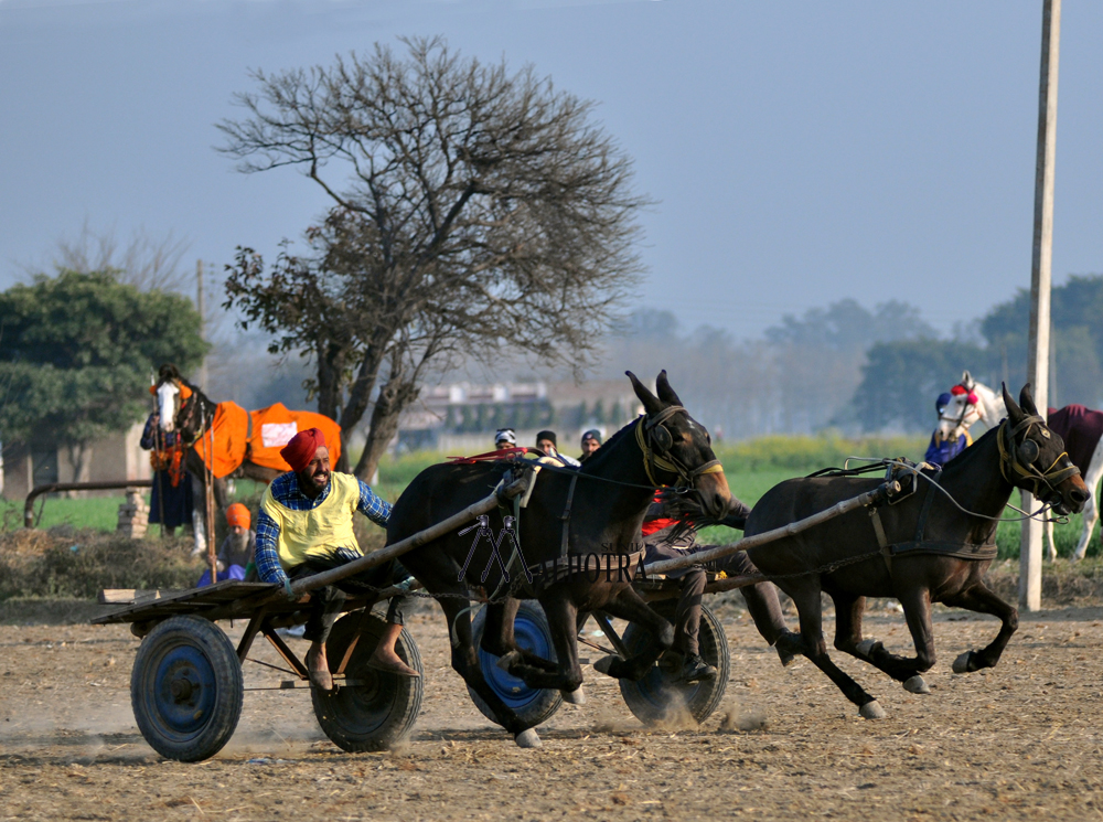 Punjab Rural Sport, India