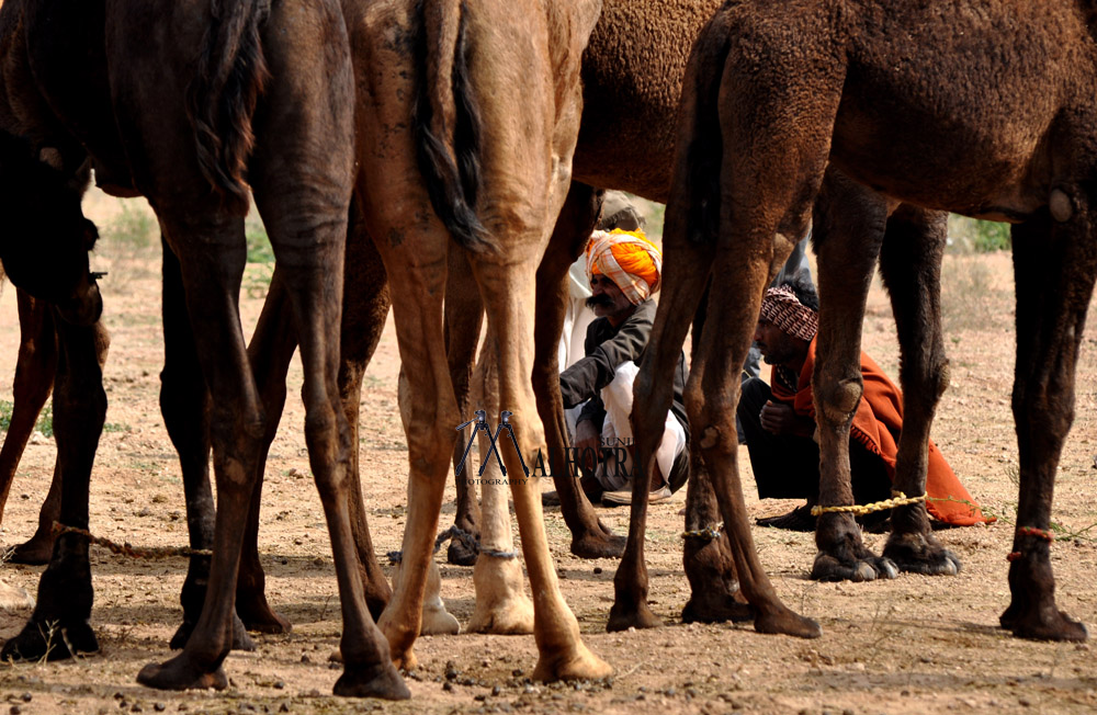 Rajasthan