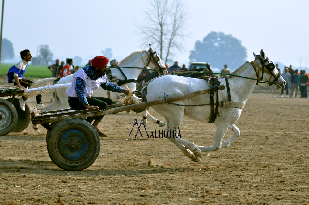 Punjab Rural Sport, India