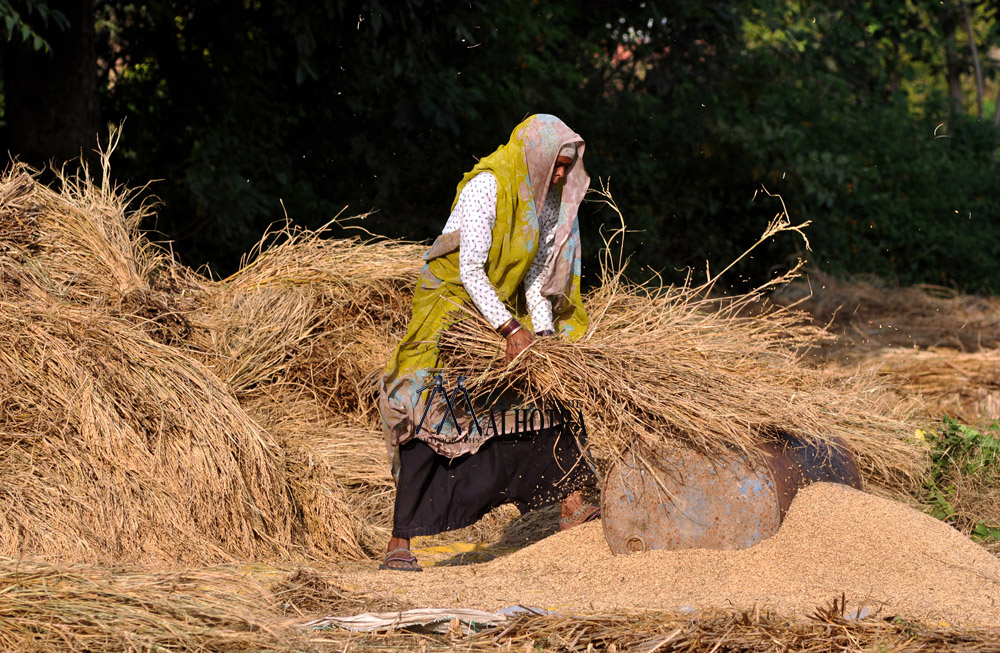 Women - Backbone of India, India