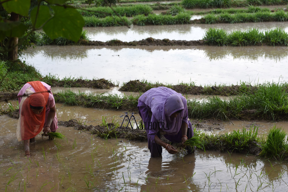 Women - Backbone of India, India