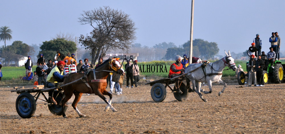 Punjab Rural Sport, India