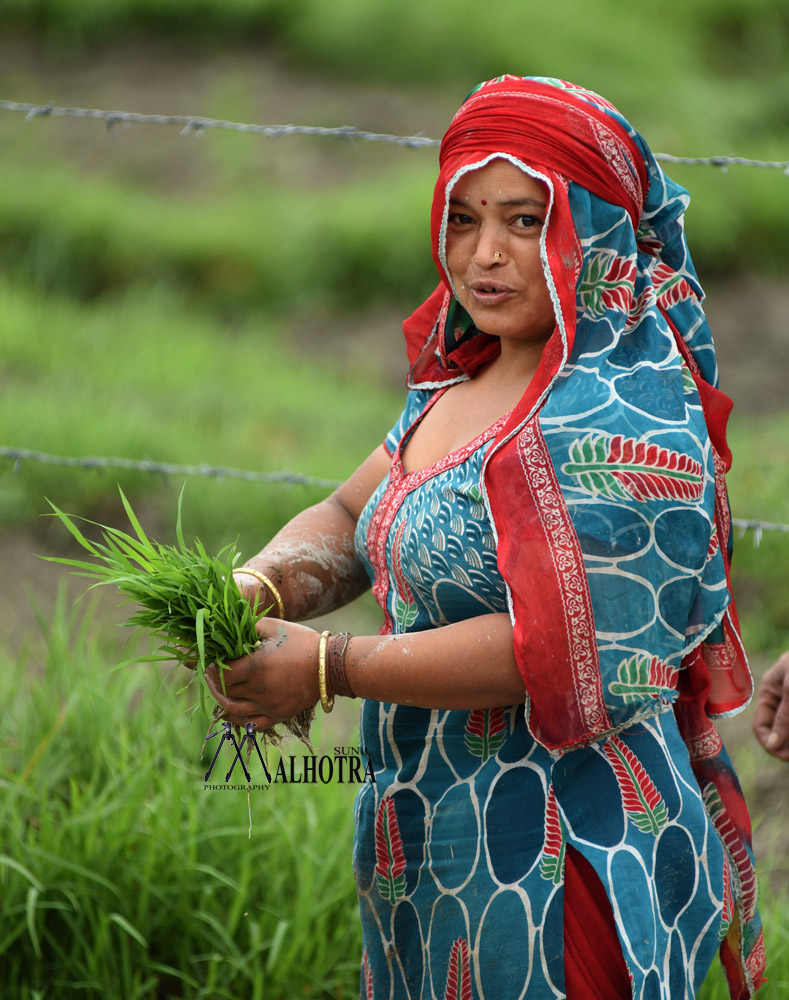 Women - Backbone of India, India