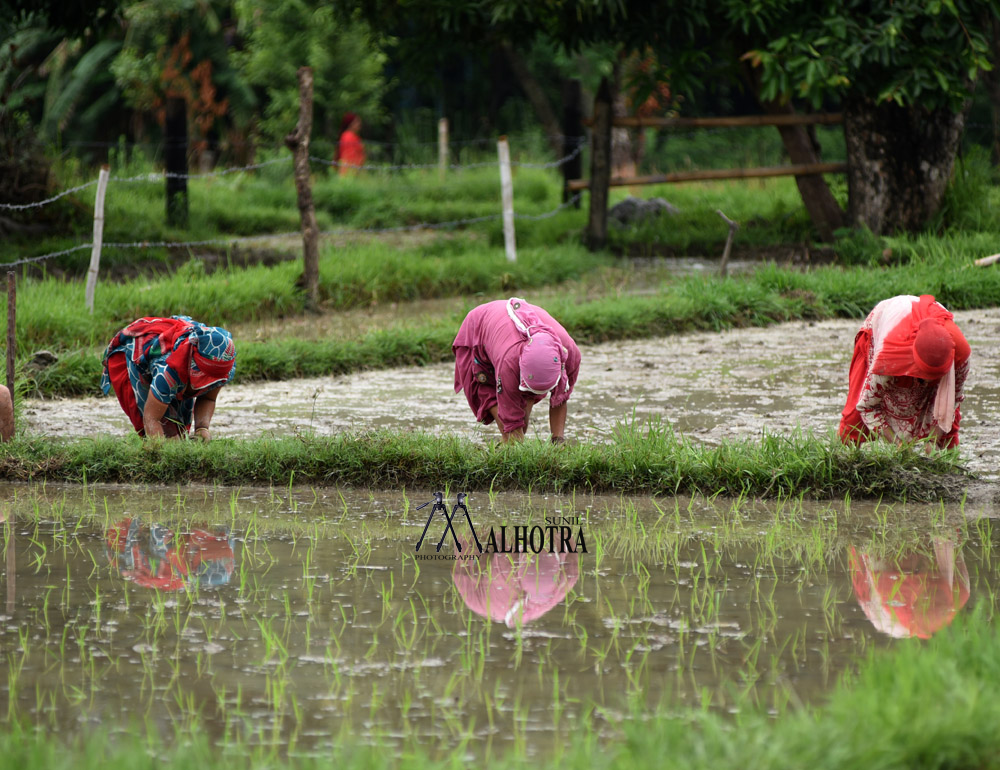 Women - Backbone of India, India