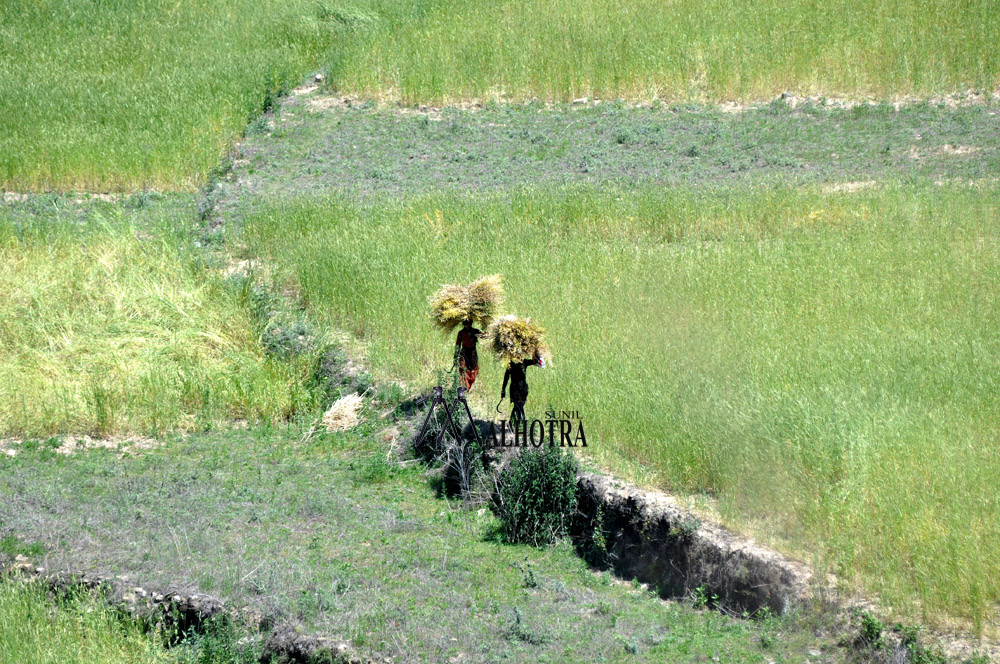 Women - Backbone of India, India