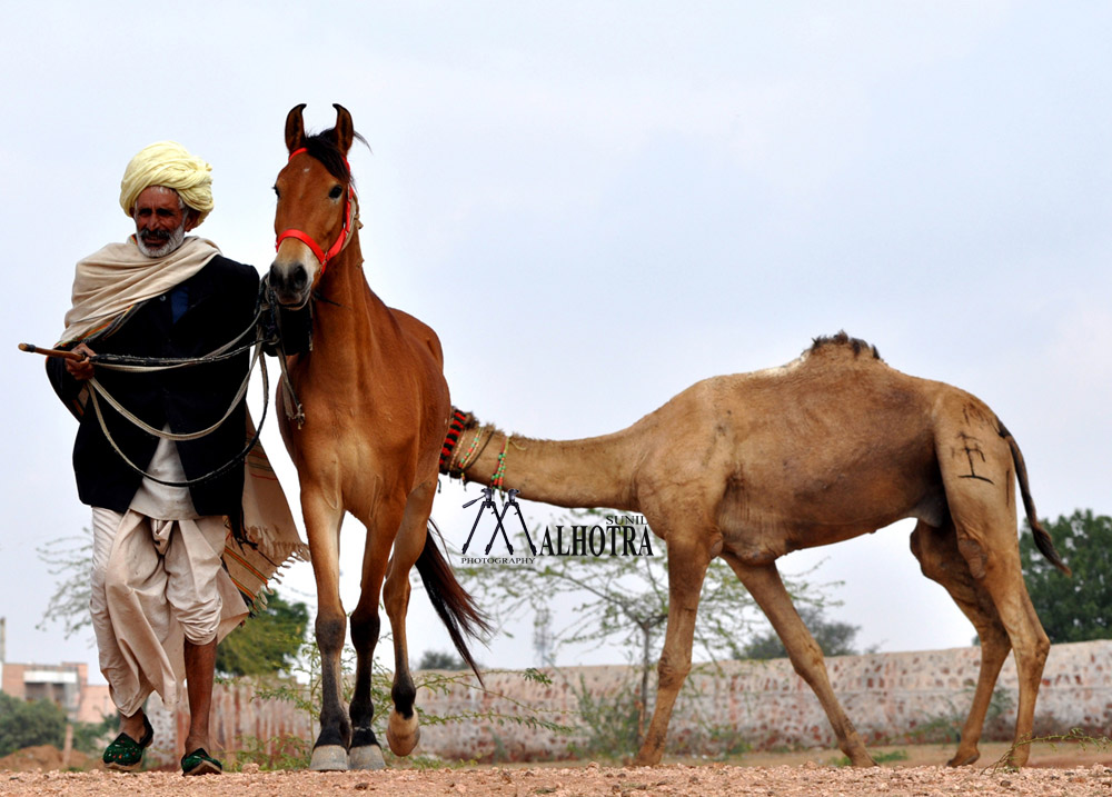 Rajasthan