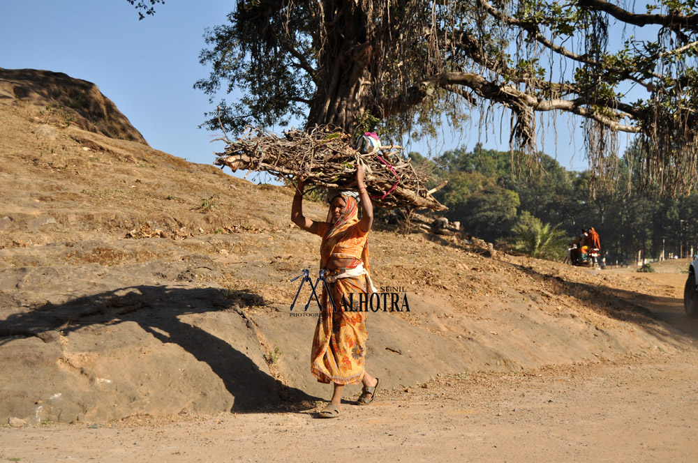 Women - Backbone of India, India