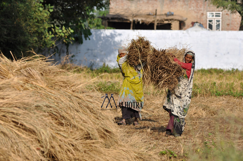 Women - Backbone of India, India