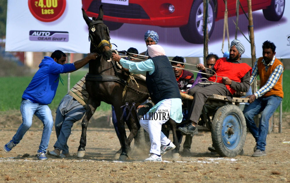 Punjab Rural Sport, India