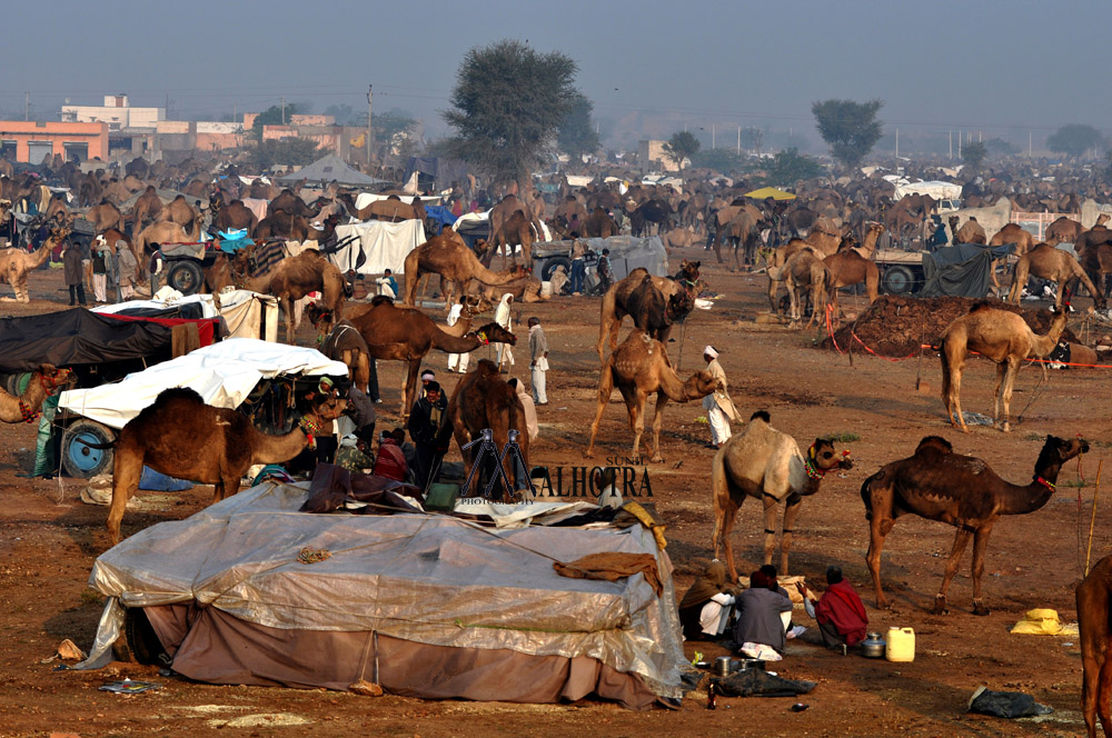 Rajasthan