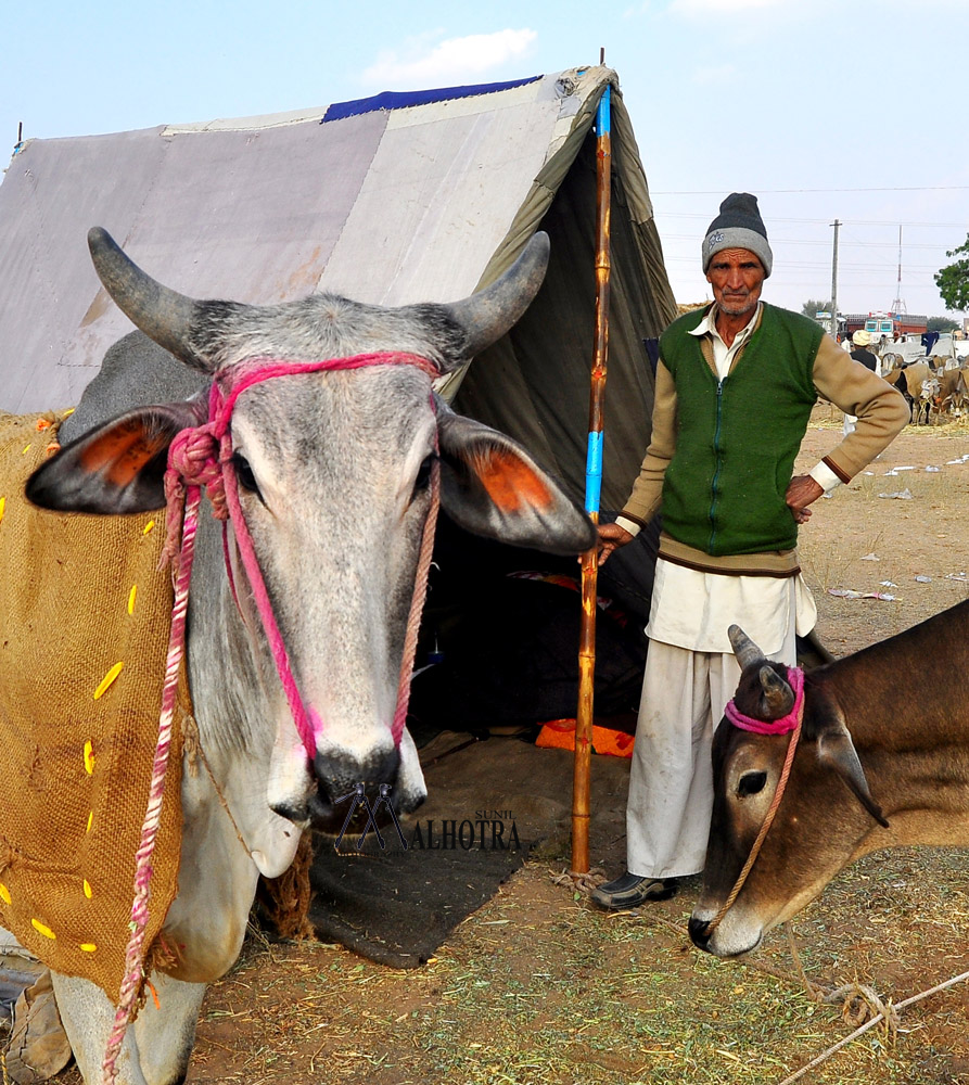 Rajasthan