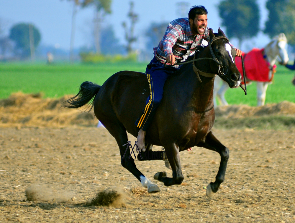 Punjab Rural Sport, India