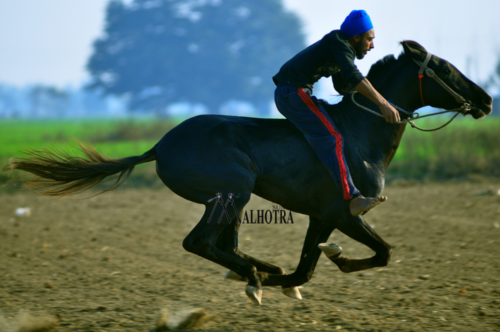 Punjab Rural Sport, India