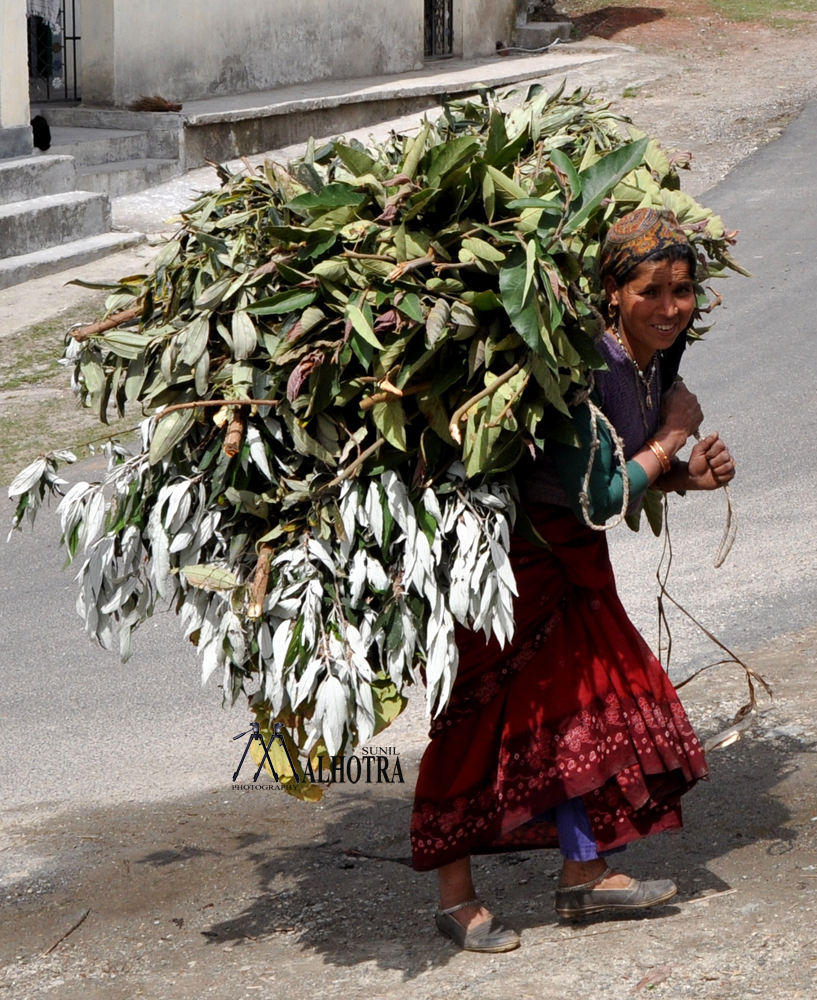 Himayala, India