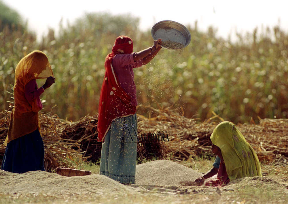 Women - Backbone of India, India