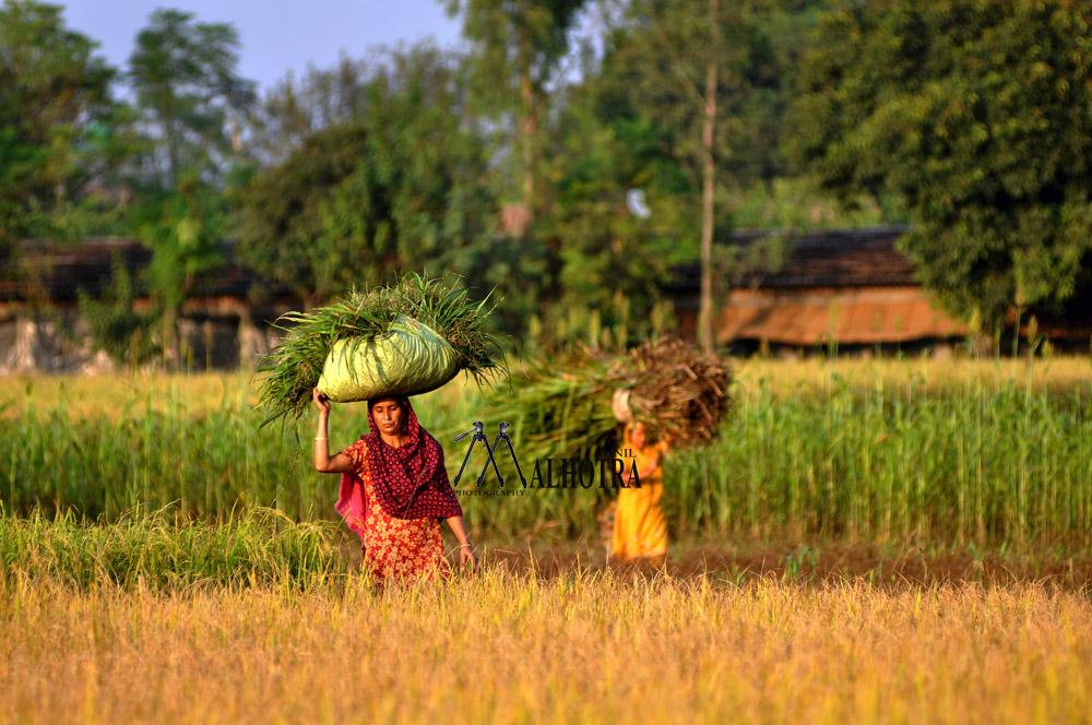 Women - Backbone of India, India