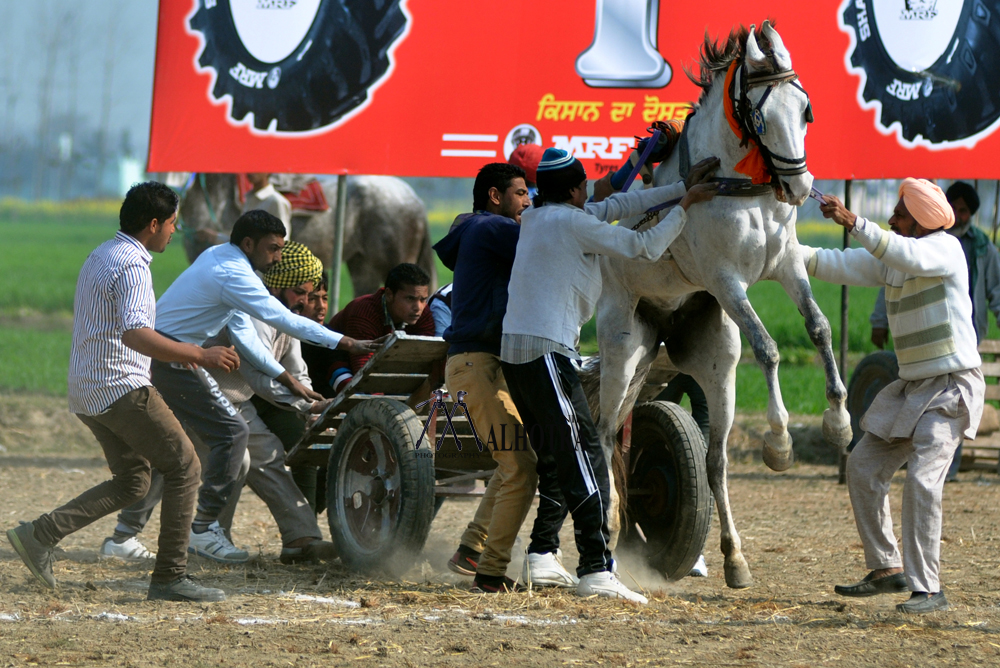 Punjab Rural Sport, India