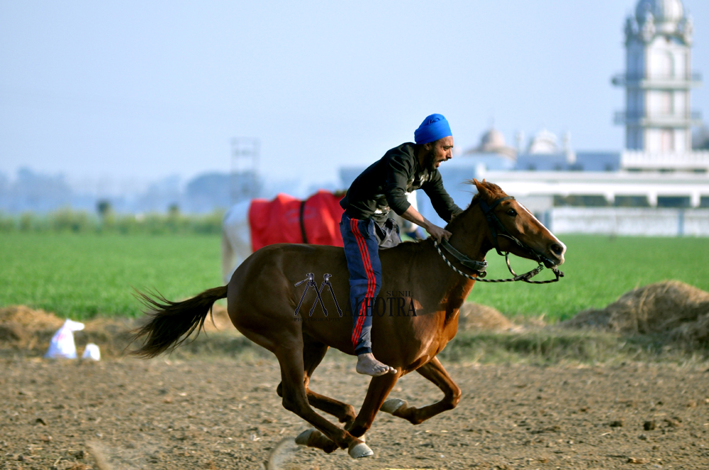 Punjab Rural Sport, India