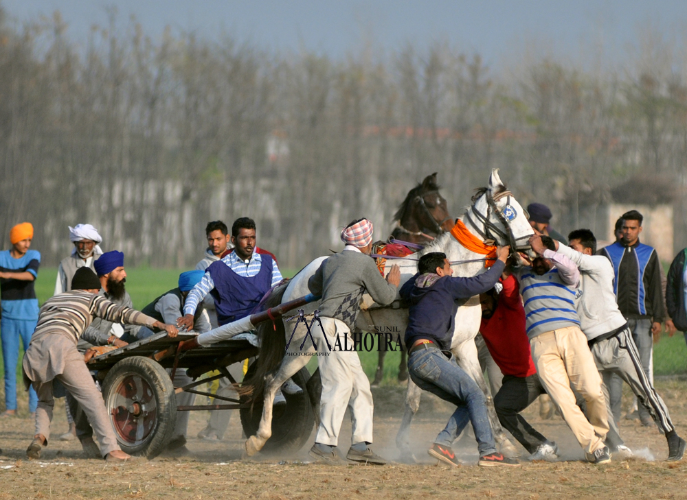 Punjab Rural Sport, India