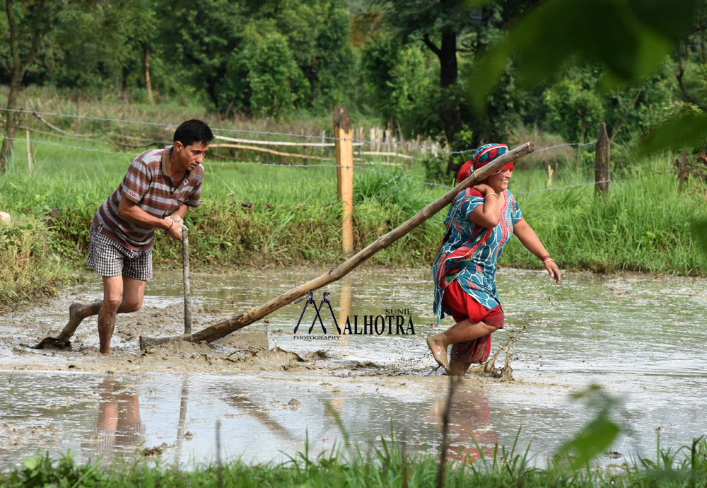 Women - Backbone of India, India